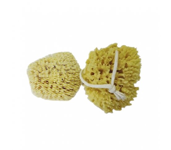 Mořská houba Mořská vlna 7-9cm s provázkem Caribbean Sun