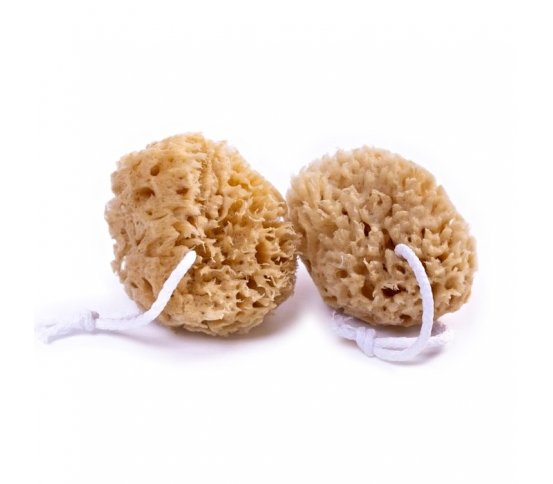 Mořská houba Mořská vlna 7-9cm s provázkem Caribbean Sun