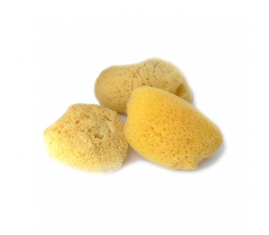 Mořská houba Silk jemná kosmetická 3-5cm Caribbean Sun 1