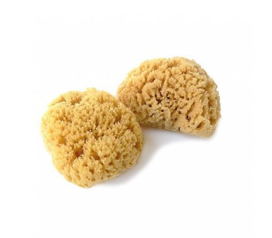 Mořská houba Silk jemná kosmetická 5-6cm Caribbean Sun 1