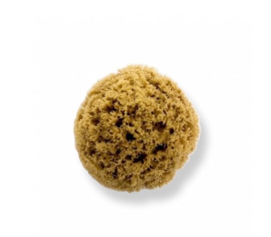 Mořská houba z Karibiku Mineral 11-12cm Bellini