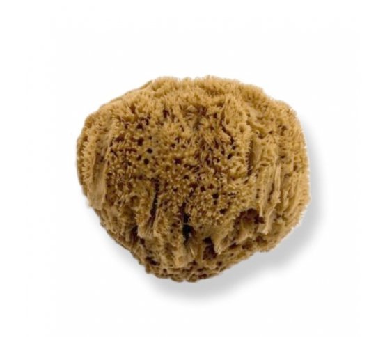 Mořská houba z Karibiku Mineral 14-15cm Bellini