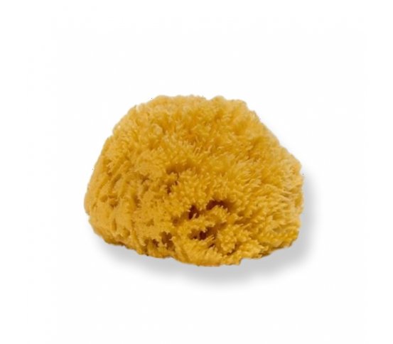 Mořská houba z Karibiku Světlá 13-14cm Bellini