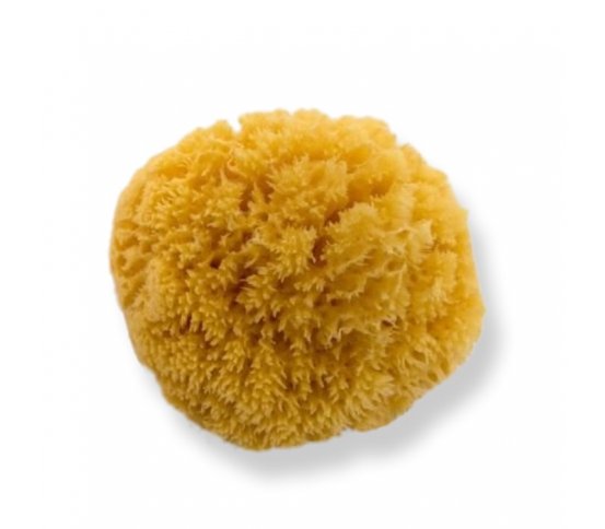 Mořská houba z Karibiku Světlá 14-15cm Bellini