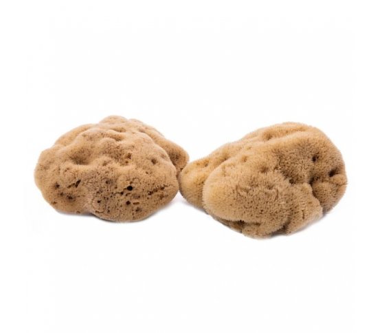 Mořská jaderská houba minerální 8-10cm Carribean Sun