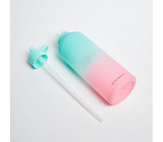 Velká eko láhev na vodu s brčkem