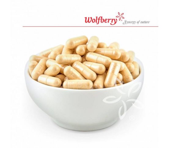 Ostropestřec mariánský - kapsle 120ks Wolfberry 2