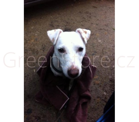 Osuška pro velké psy, koně z mikrovláken E-cloth