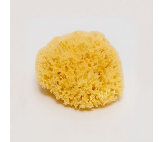 Premium Mořská houba Honeycomb 11-12cm Bellini