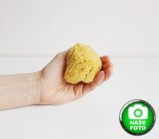 Mořská houba Silk jemná kosmetická 5-6cm Caribbean Sun 2