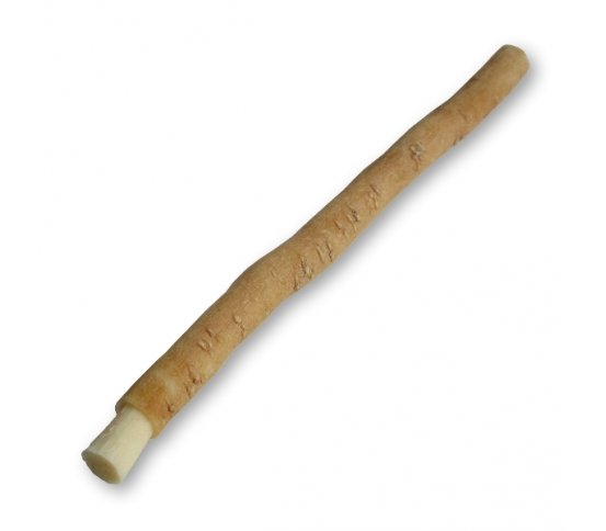 Přírodní zubní kartáček Siwak, Miswak