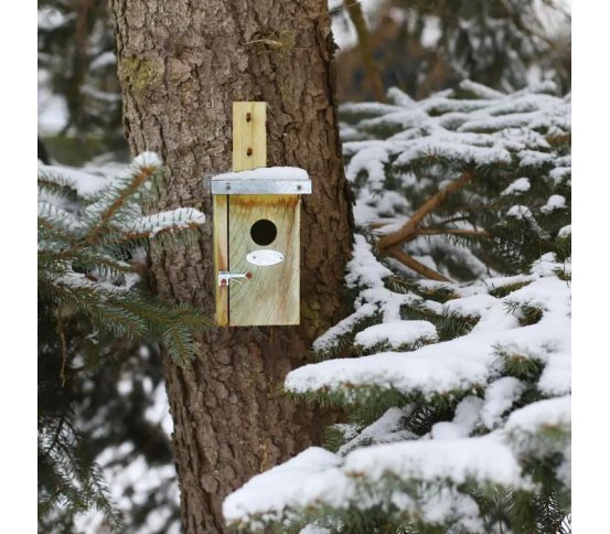 Ptačí budka pro střízlíky - otvor 3cm - přírodní Esschert Design 3