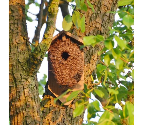 Ptačí budka z kokosových vláken s dřevěnou stříškou Esschert Design 6