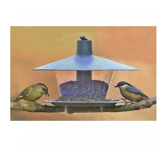 Ptačí krmítko Finch - antracit zelená domácnost