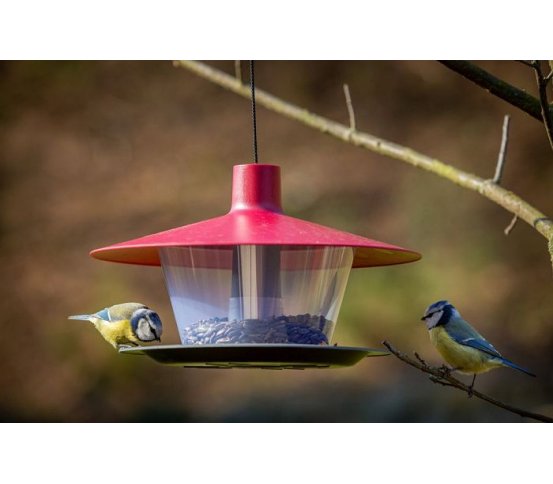 kvalitní plastové Ptačí krmítko Finch - vínová Plastia