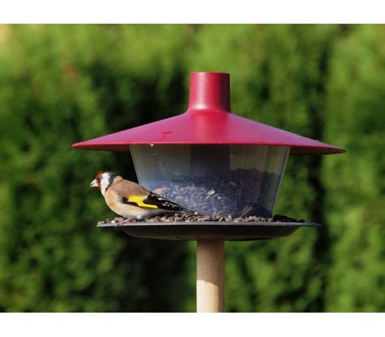 české Ptačí krmítko Finch - vínová Plastia