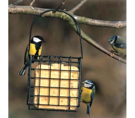 Ptačí lojový koláč s hmyzím tukem a hmyzem 300g Pfiffikus