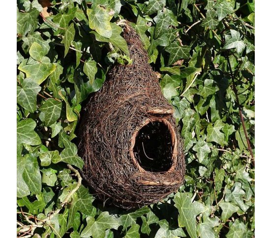 Ptačí polobudka - Brushwood