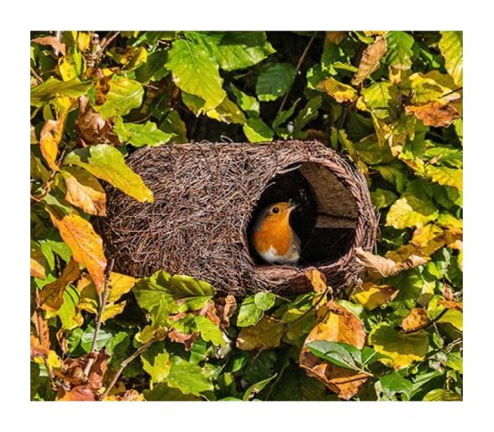 Ptačí polobudka Brushwood - pro červenky 1