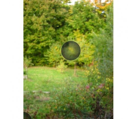 Ptačí samolepky kolečka - černé pruhy 40ks