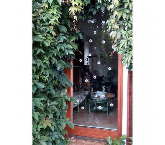 Ptačí samolepky kolečka se siluetou bílé - 40ks