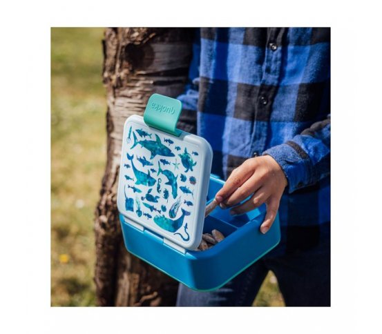 Quokka Dětský svačinový box 1l - moře