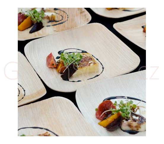 Jednorazové talíře bio palmové listy