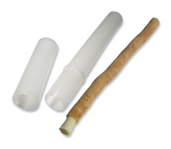 Přírodní zubní kartáček Siwak, Miswak