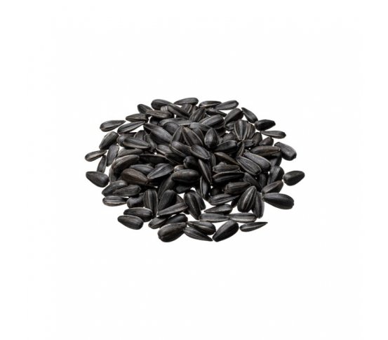 Slunečnicová semínka černá pro ptáčky 5kg