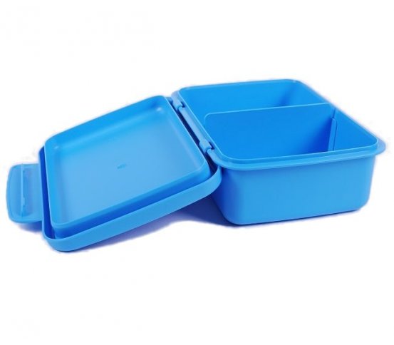 Svačinový box Zdravá sváča - modrý R