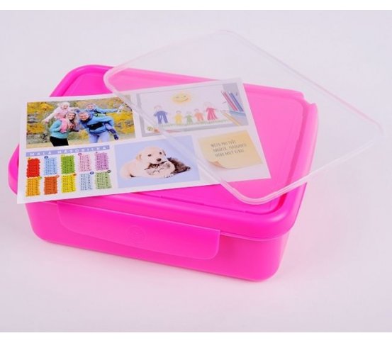 Svačinový box Zdravá sváča - růžový R