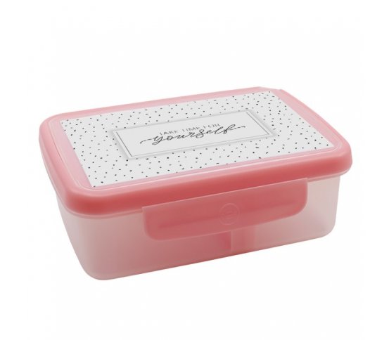 Svačinový box Zdravá sváča Scandi - růžový R B Mědílek 1