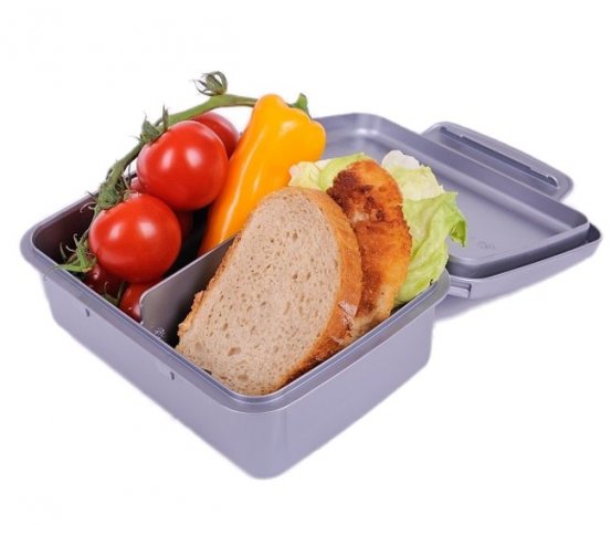 Svačinový box Zdravá sváča - šedý R