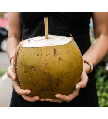 Bambusová brčka ⌀6mm x 23cm (250ks) Bamboo Europe