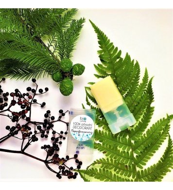 Biorythme Tuhý deodorant Neparfémovaný 15g