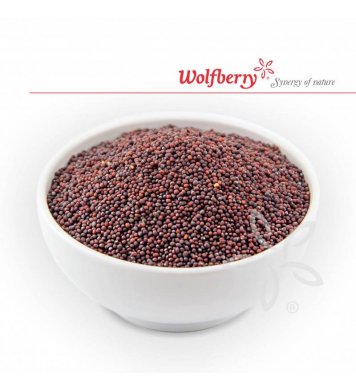 Brokolice semínka na klíčení BIO 200g Wolfberry