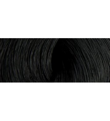 Color Erbe BIO Barva na vlasy Černá 1.0 Biobeauty