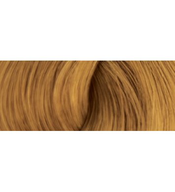 Color Erbe BIO Barva na vlasy Medová blond 8.31