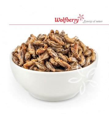 Cvrčci z pánvičky - česnek 20g Wolfberry 3