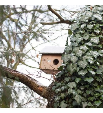Dřevěná budka pro veverku Esschert Design 3