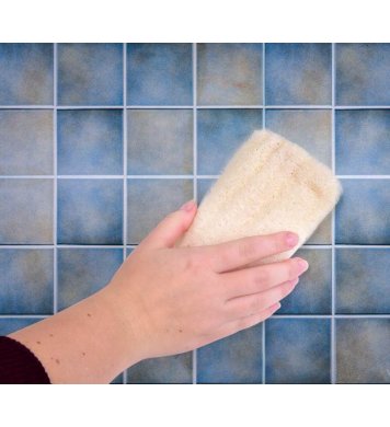 GoEco Přírodní houba na úklid a nádobí 12cm (4ks)