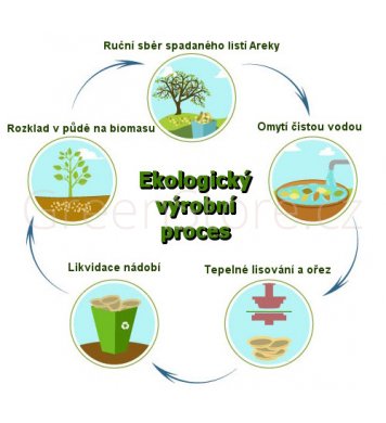 Ekologický výrobní proces kompostovatelného nádobí