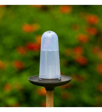 Krmítko a pítko 3v1 pro ptáky Robin - antracit Plastia 4