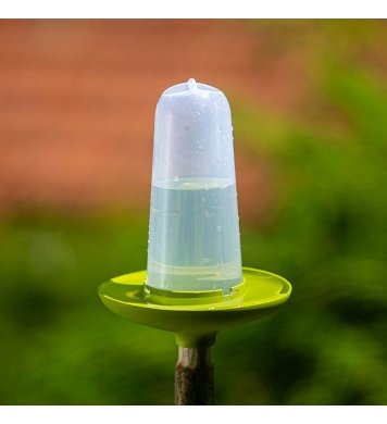 Krmítko a pítko 3v1 pro ptáky Robin - zelené Plastia 4