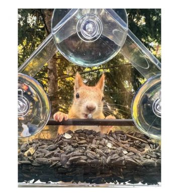 Krmítko domeček pro veverky na okno s přísavkami