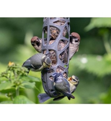 Krmítko na 3 lojové koule SAM obchod cso