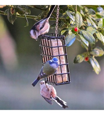 Ptačí lojovy koláč s hmyzím tukem a ořechy 300g Pfiffikus