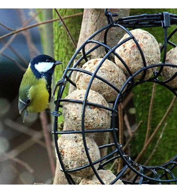Kovové velké Krmítko na lojové koule - Kruh Pfiffikus