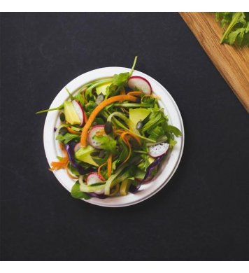 Kulatý talíř 15cm z cukrové třtiny (50ks)