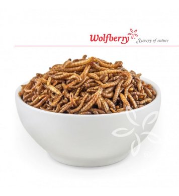 Larvičky z pánvičky - Chilli 20g Wolfberry 2